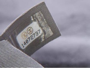 14997186_1042278942547819_1774279404_n